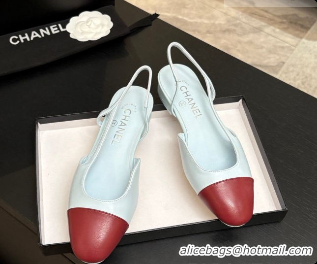 Big Enough Chanel Crocodile Pattern Calfskin & Patent Leather Slingbacks Flat CH072744 Light Blue/Burgundy 2026