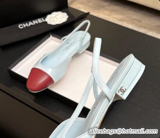 Big Enough Chanel Crocodile Pattern Calfskin & Patent Leather Slingbacks Flat CH072744 Light Blue/Burgundy 2026