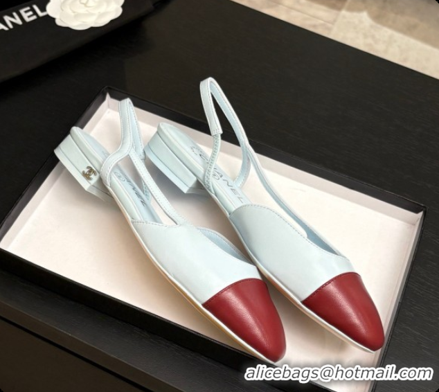 Big Enough Chanel Crocodile Pattern Calfskin & Patent Leather Slingbacks Flat CH072744 Light Blue/Burgundy 2026