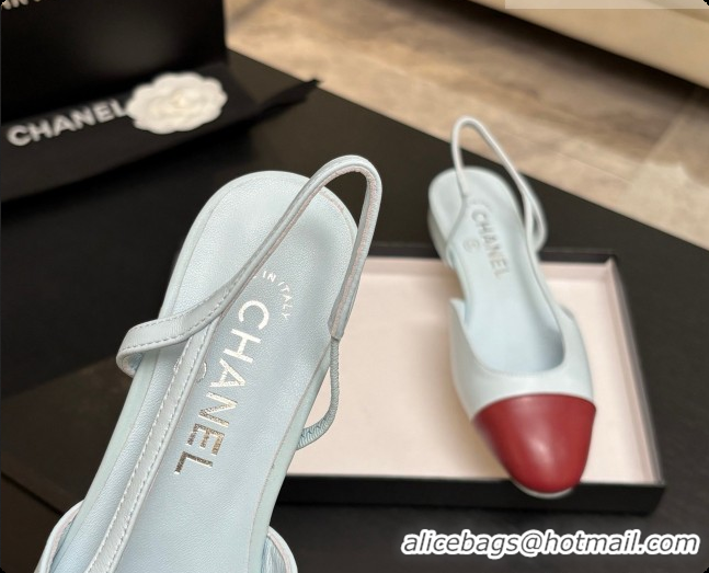 Big Enough Chanel Crocodile Pattern Calfskin & Patent Leather Slingbacks Flat CH072744 Light Blue/Burgundy 2026