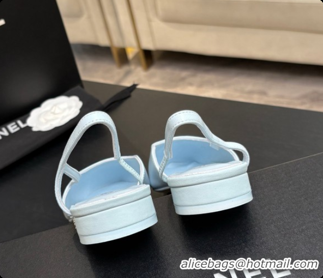 Big Enough Chanel Crocodile Pattern Calfskin & Patent Leather Slingbacks Flat CH072744 Light Blue/Burgundy 2026