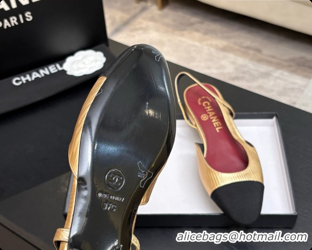 Pretty Style Chanel Gold Leather Slingbacks Flat CH072750 2026