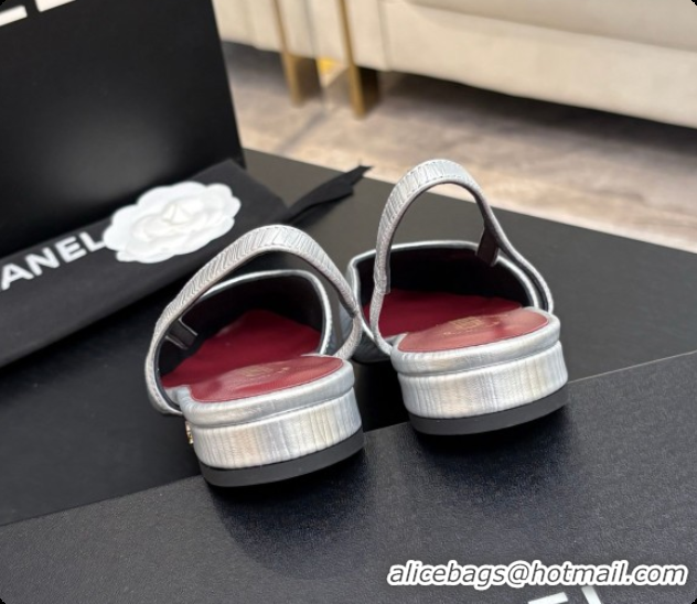 Top Design Chanel Silver Leather Slingbacks Flat CH072751 2026