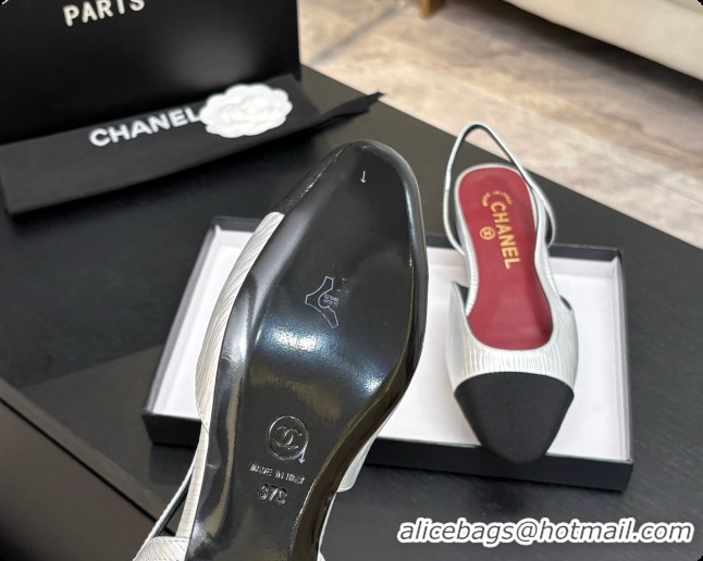 Top Design Chanel Silver Leather Slingbacks Flat CH072751 2026
