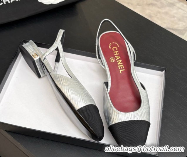 Top Design Chanel Silver Leather Slingbacks Flat CH072751 2026