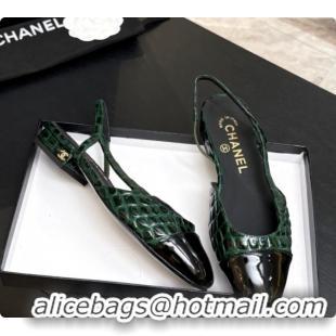 Good Looking Chanel Crocodile Pattern Calfskin & Patent Leather Slingbacks Flat CH072753 Green 2026