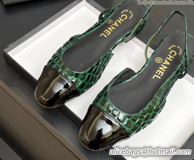 Good Looking Chanel Crocodile Pattern Calfskin & Patent Leather Slingbacks Flat CH072753 Green 2026