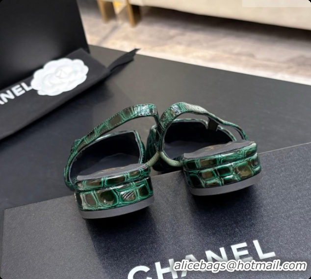 Good Looking Chanel Crocodile Pattern Calfskin & Patent Leather Slingbacks Flat CH072753 Green 2026