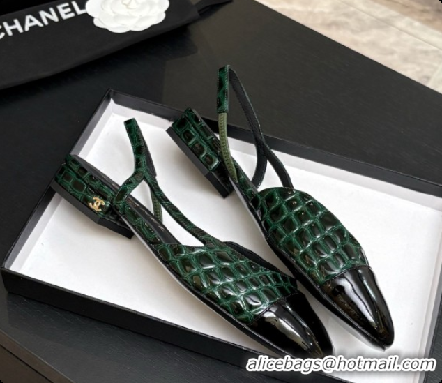 Good Looking Chanel Crocodile Pattern Calfskin & Patent Leather Slingbacks Flat CH072753 Green 2026