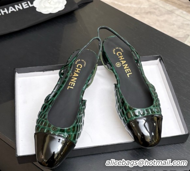 Good Looking Chanel Crocodile Pattern Calfskin & Patent Leather Slingbacks Flat CH072753 Green 2026