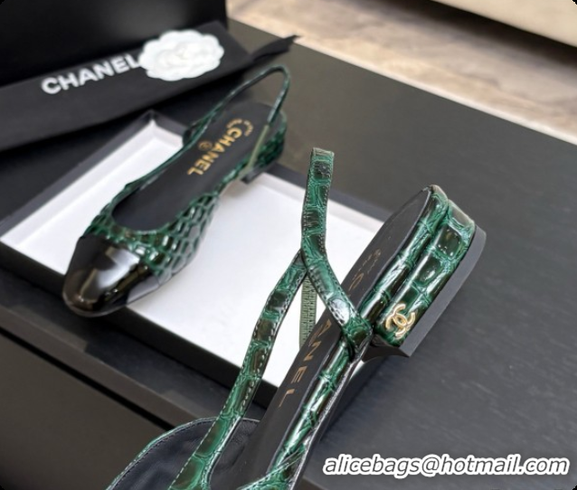 Good Looking Chanel Crocodile Pattern Calfskin & Patent Leather Slingbacks Flat CH072753 Green 2026