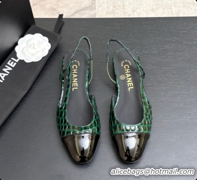 Good Looking Chanel Crocodile Pattern Calfskin & Patent Leather Slingbacks Flat CH072753 Green 2026