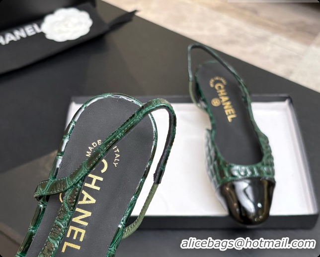Good Looking Chanel Crocodile Pattern Calfskin & Patent Leather Slingbacks Flat CH072753 Green 2026