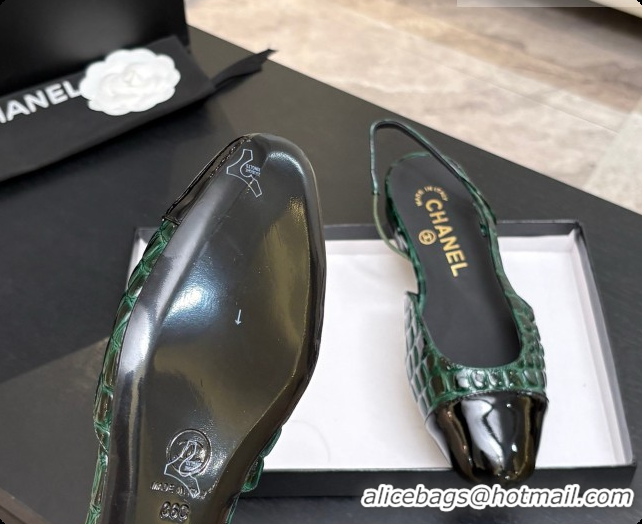 Good Looking Chanel Crocodile Pattern Calfskin & Patent Leather Slingbacks Flat CH072753 Green 2026