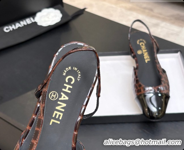 Unique Style Chanel Crocodile Pattern Calfskin & Patent Leather Slingbacks Flat CH072754 Dark Brown 2026