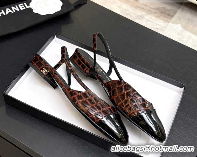Unique Style Chanel Crocodile Pattern Calfskin & Patent Leather Slingbacks Flat CH072754 Dark Brown 2026