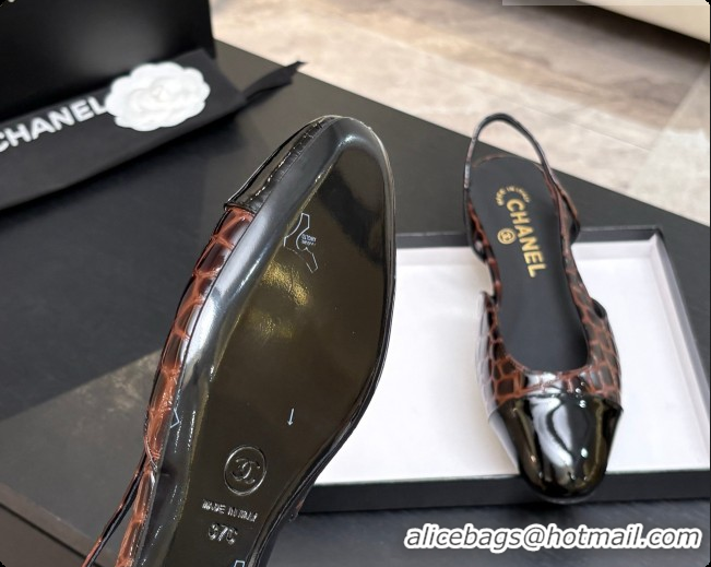 Unique Style Chanel Crocodile Pattern Calfskin & Patent Leather Slingbacks Flat CH072754 Dark Brown 2026