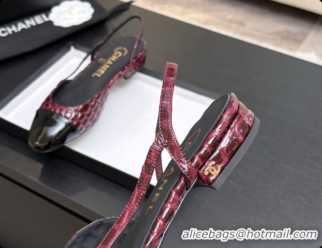 Shop Duplicate Chanel Crocodile Pattern Calfskin & Patent Leather Slingbacks Flat CH072755 Burgundy 2026