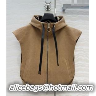 Trendy Design Promotional Louis Vuitton Wool Vest LV081117 Brown 2026