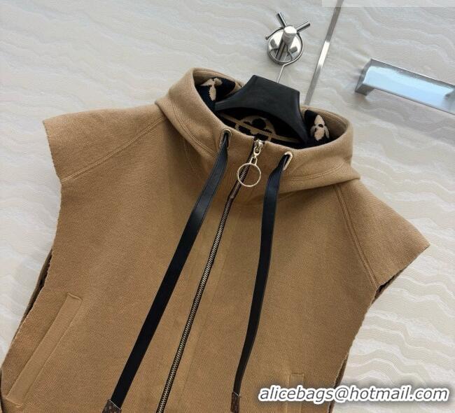 Trendy Design Promotional Louis Vuitton Wool Vest LV081117 Brown 2026