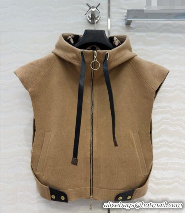 Trendy Design Promotional Louis Vuitton Wool Vest LV081117 Brown 2026
