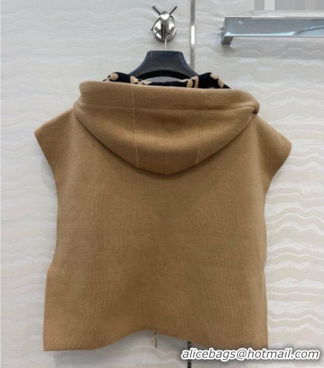Trendy Design Promotional Louis Vuitton Wool Vest LV081117 Brown 2026