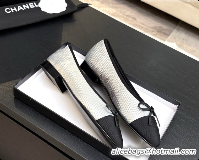 Good Quality Chanel Silver Leather Ballet Flat G02819 CH072679 2026