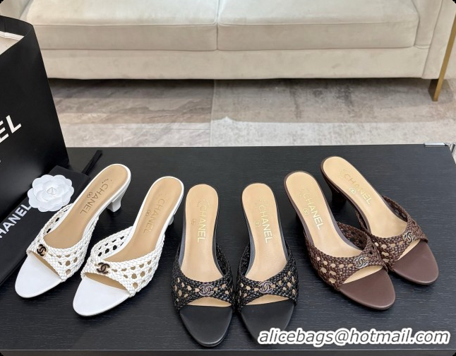 Most Popular Chanel Weave Leather Mules CH0727107 Black 2026