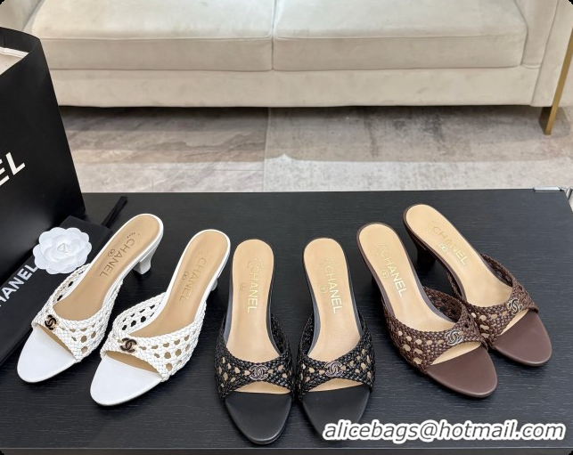 Pretty Style Chanel Weave Leather Mules CH0727108 Brown 2026