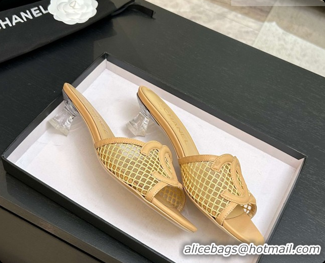 Sumptuous Chanel Lambskin & Mesh Mules Sandals CH0727111 Beige 2026