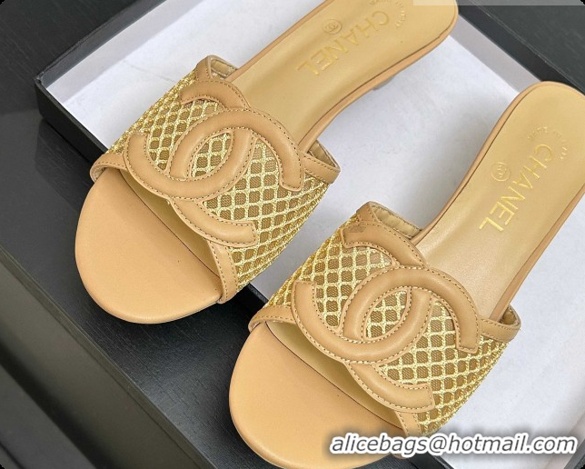 Sumptuous Chanel Lambskin & Mesh Mules Sandals CH0727111 Beige 2026
