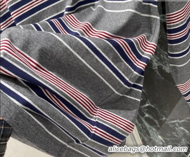 Luxury Cheap Miu Miu Cotton Striped T-Shirt 0421 Grey/Pink 2026
