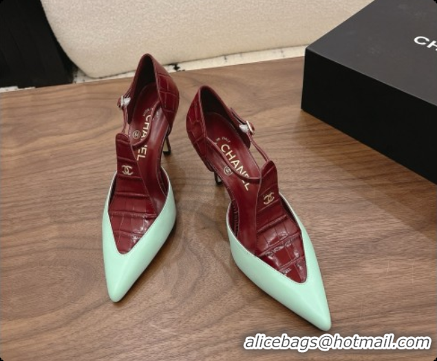 Most Popular Chanel Crocodile Embossed Patent Calfskin & Lambskin Mary Janes 8.5cm Heel Burgundy & Green 072847 2026