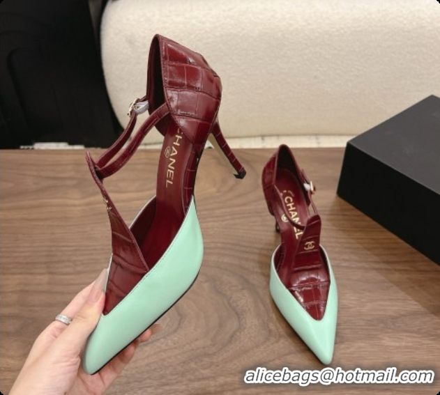 Most Popular Chanel Crocodile Embossed Patent Calfskin & Lambskin Mary Janes 8.5cm Heel Burgundy & Green 072847 2026
