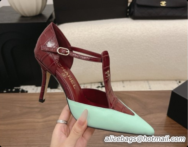 Most Popular Chanel Crocodile Embossed Patent Calfskin & Lambskin Mary Janes 8.5cm Heel Burgundy & Green 072847 2026