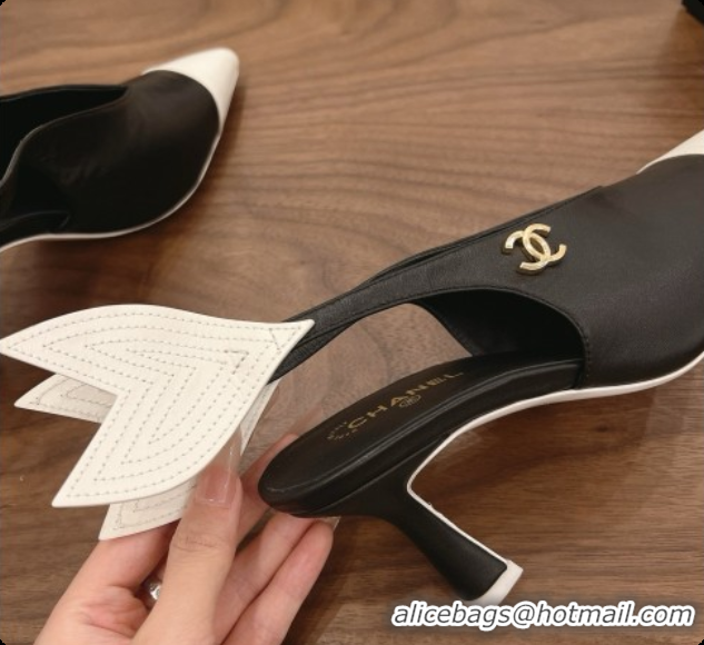 Top Design Chanel Lambskin Slingbacks 7.5cm Heel G47323 Black 2026