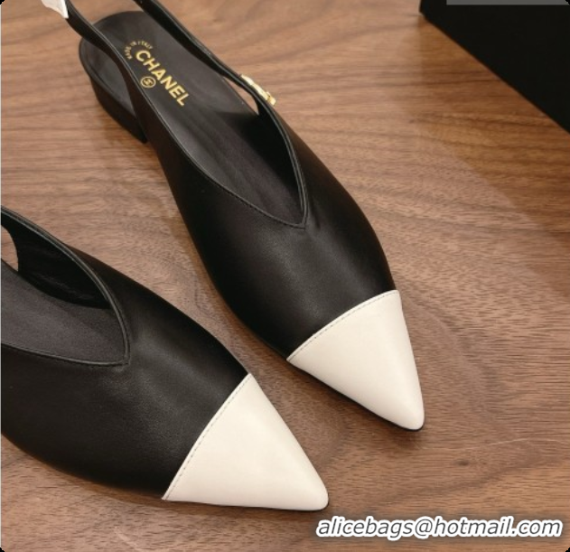 Perfect Chanel Lambskin Slingbacks Flat CH072863 Black 2026