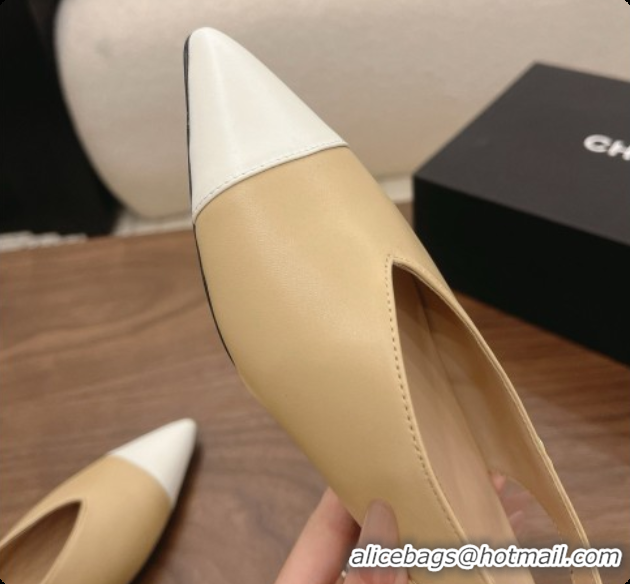 Best Price Chanel Lambskin Slingbacks Flat CH072865 Beige 2026