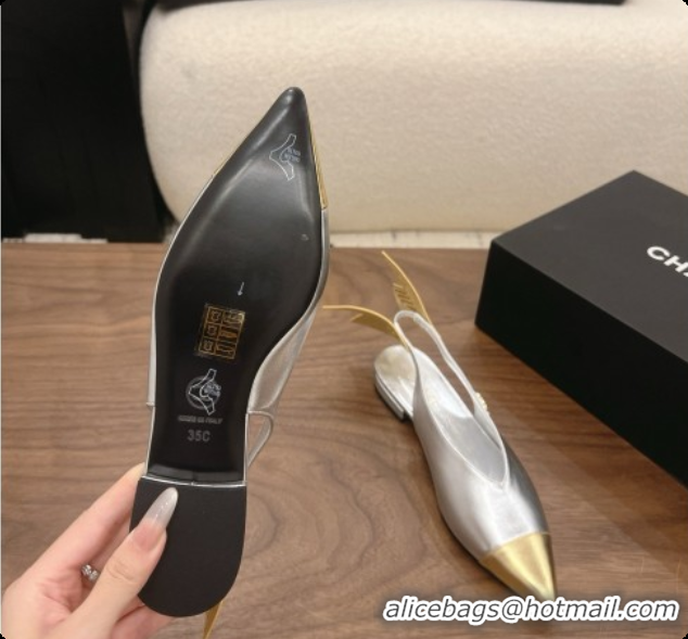 Luxury Discount Chanel Metallic Leather Slingbacks Flat CH072867 Silver 2026