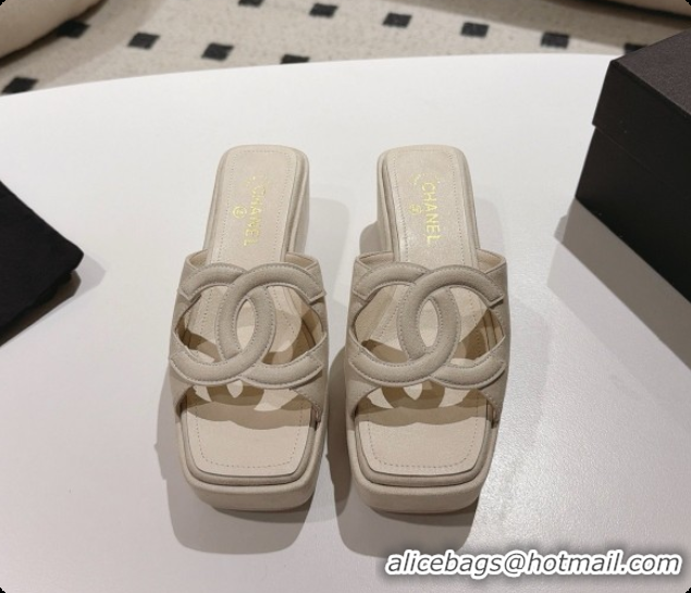Buy Luxury Chanel Suede Calfskin Slide Sandals G47401 Beige 2026