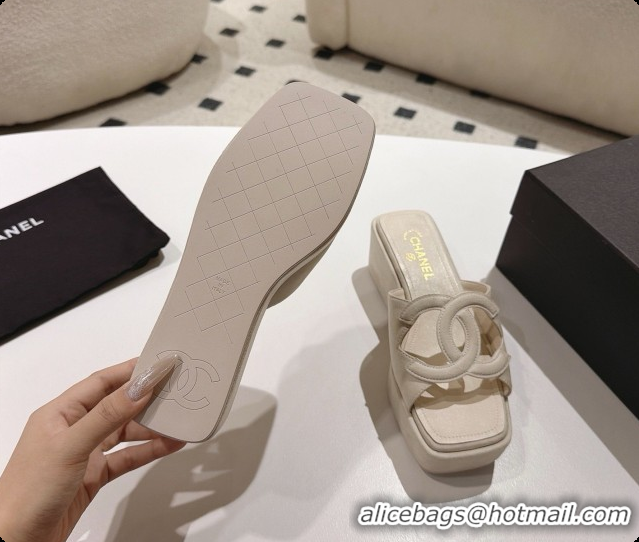 Buy Luxury Chanel Suede Calfskin Slide Sandals G47401 Beige 2026