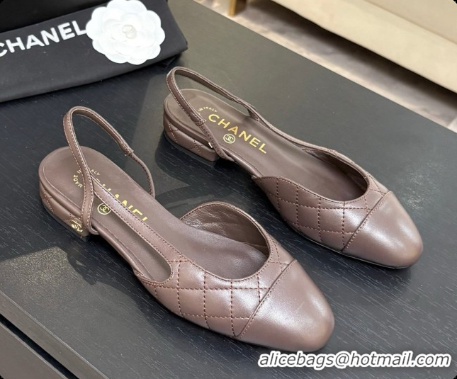 Good Quality Chanel Lambskin Flat Slingbacks G31319 CH081612 Dark Brown 2026