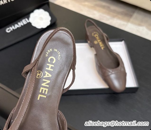 Good Quality Chanel Lambskin Flat Slingbacks G31319 CH081612 Dark Brown 2026