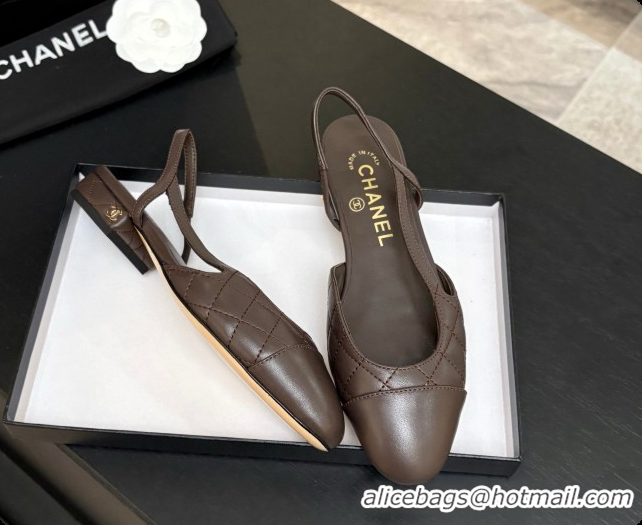 Good Quality Chanel Lambskin Flat Slingbacks G31319 CH081612 Dark Brown 2026