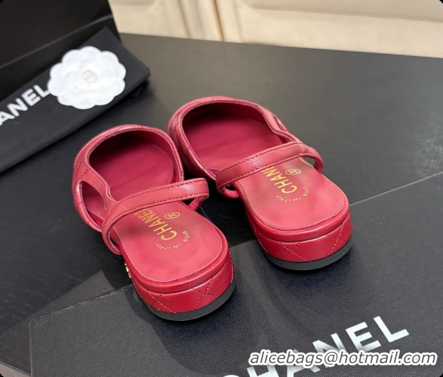 Stylish Chanel Lambskin Flat Slingbacks G31319 CH081614 Burgundy 2026