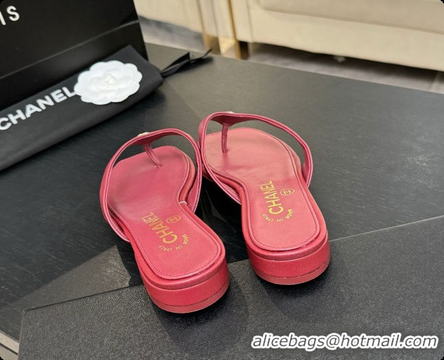 Best Grade Chanel Lambskin Thongs Sandals G47481 Burgundy 2026