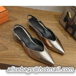 Purchase Hermes Nicoletta 40 Pump in Champagne Leather 080612 2026