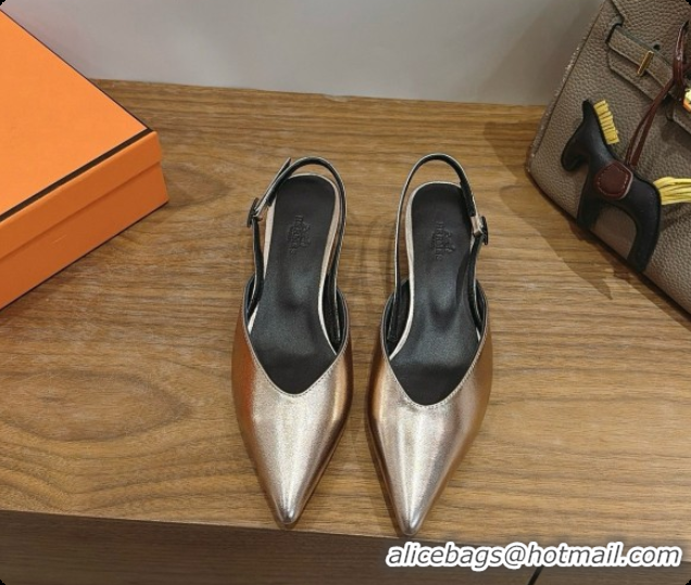 Purchase Hermes Nicoletta 40 Pump in Champagne Leather 080612 2026