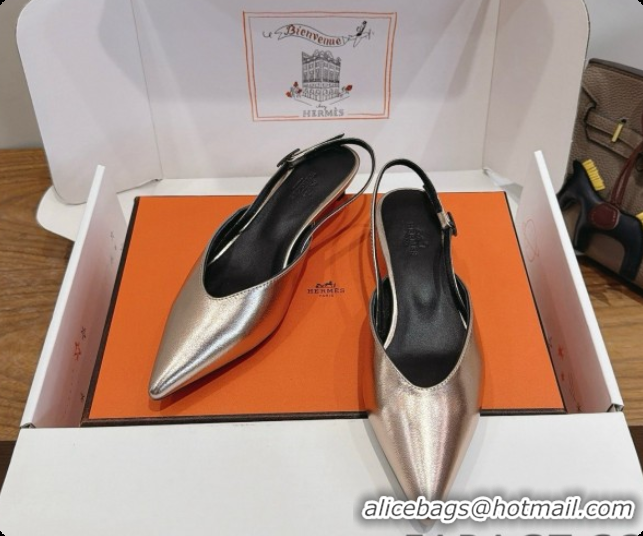 Purchase Hermes Nicoletta 40 Pump in Champagne Leather 080612 2026