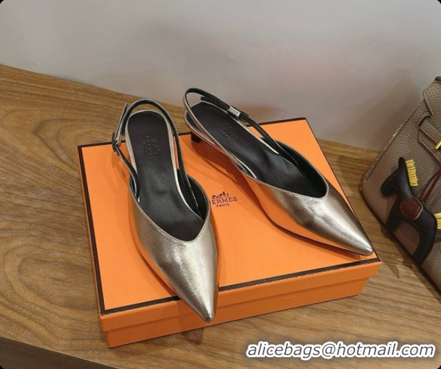 Purchase Hermes Nicoletta 40 Pump in Champagne Leather 080612 2026